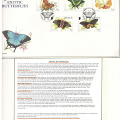 BUTTERFLIES_113