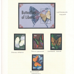 BUTTERFLIES_121