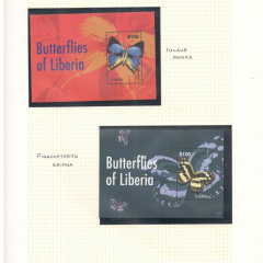 BUTTERFLIES_122