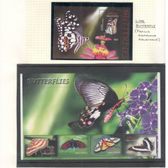 BUTTERFLIES_143