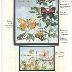 BUTTERFLIES_187